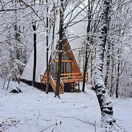 Cabanaaframe Curtea de Argeş エクステリア 写真